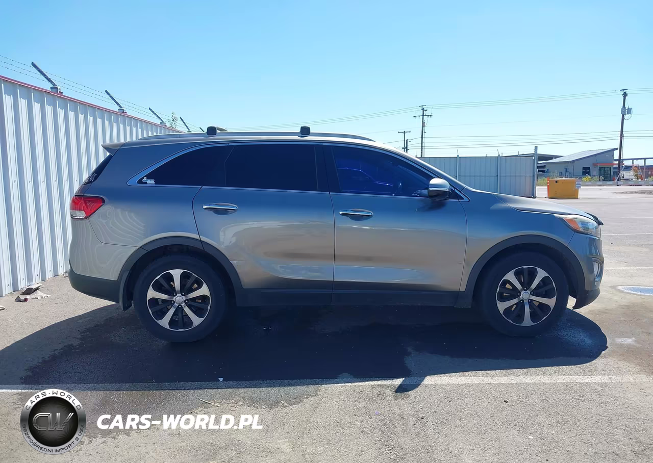2016 Kia Sorento 2.0T Ex VIN:5XYPH4A14GG013716 - 13