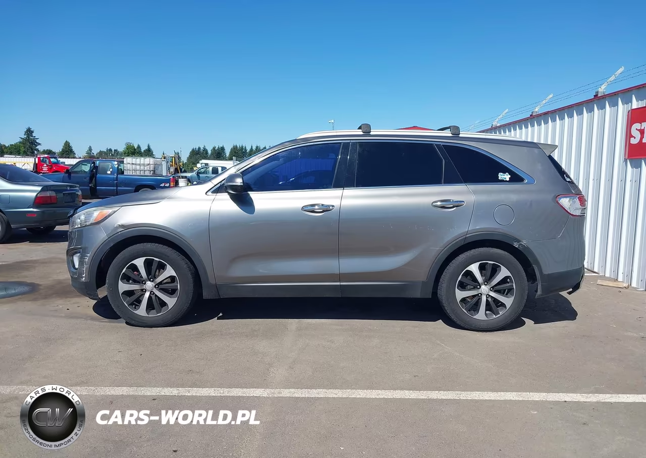 2016 Kia Sorento 2.0T Ex VIN:5XYPH4A14GG013716 - 14
