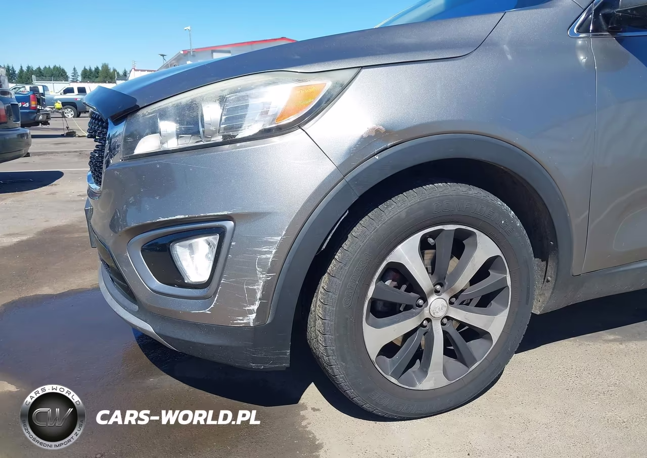 2016 Kia Sorento 2.0T Ex VIN:5XYPH4A14GG013716 - 18