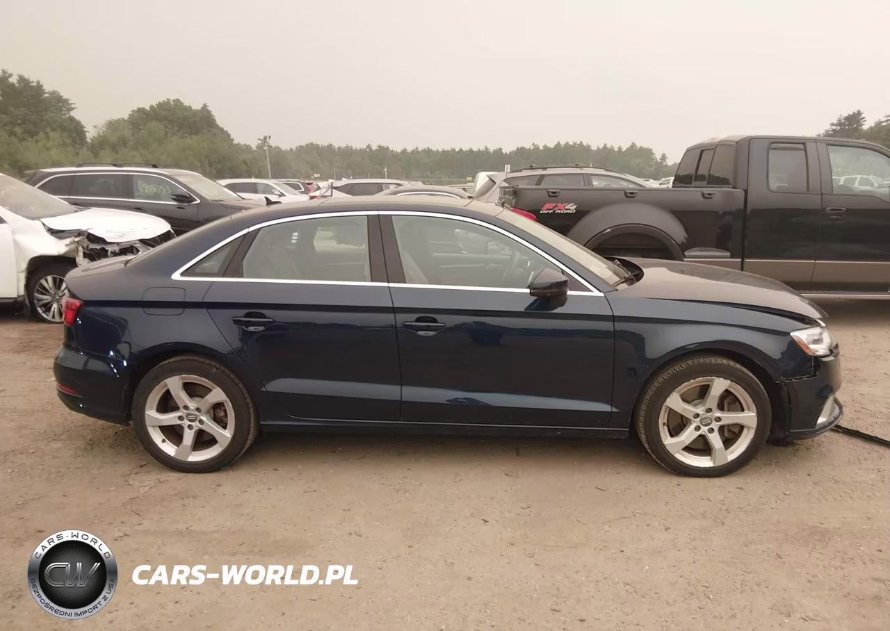 2019 Audi A3 45 Premium VIN:WAUBEGFF2KA117247 - 13