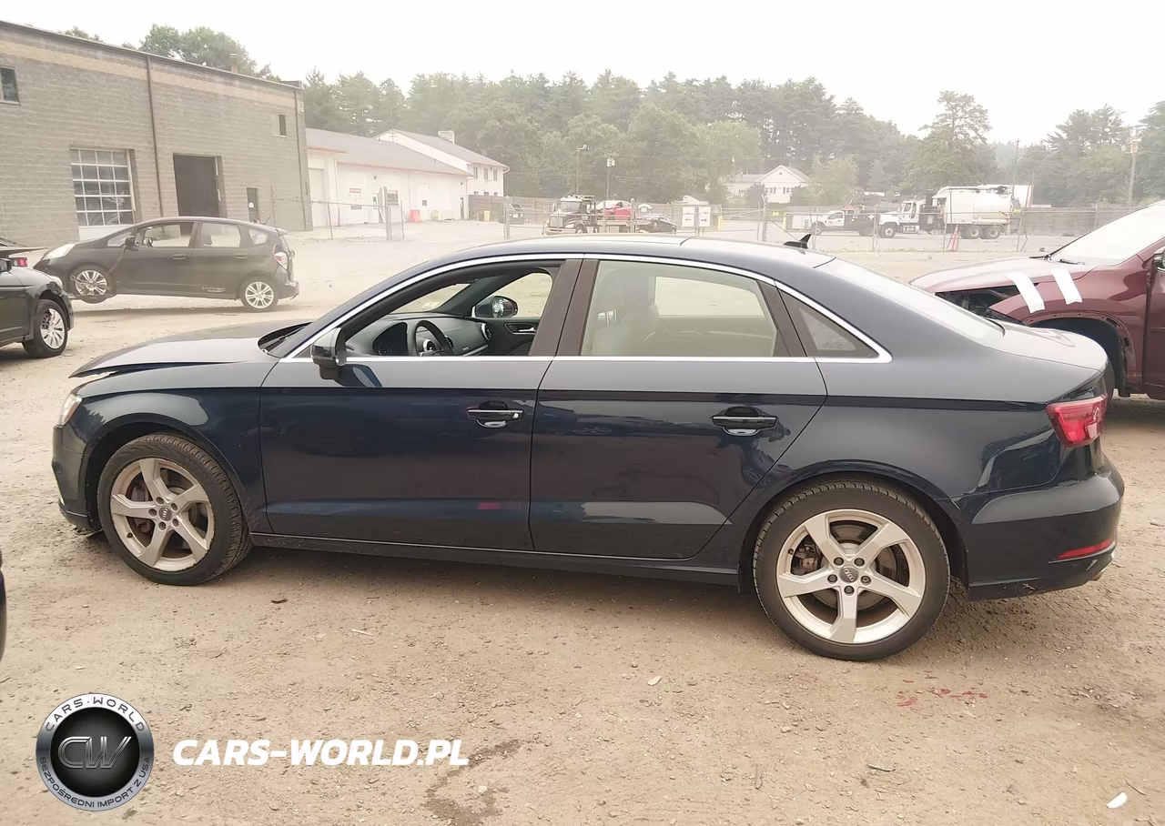 2019 Audi A3 45 Premium VIN:WAUBEGFF2KA117247 - 14