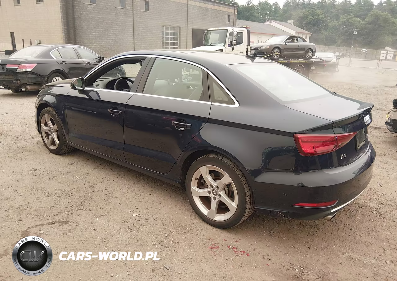 2019 Audi A3 45 Premium VIN:WAUBEGFF2KA117247 - 3