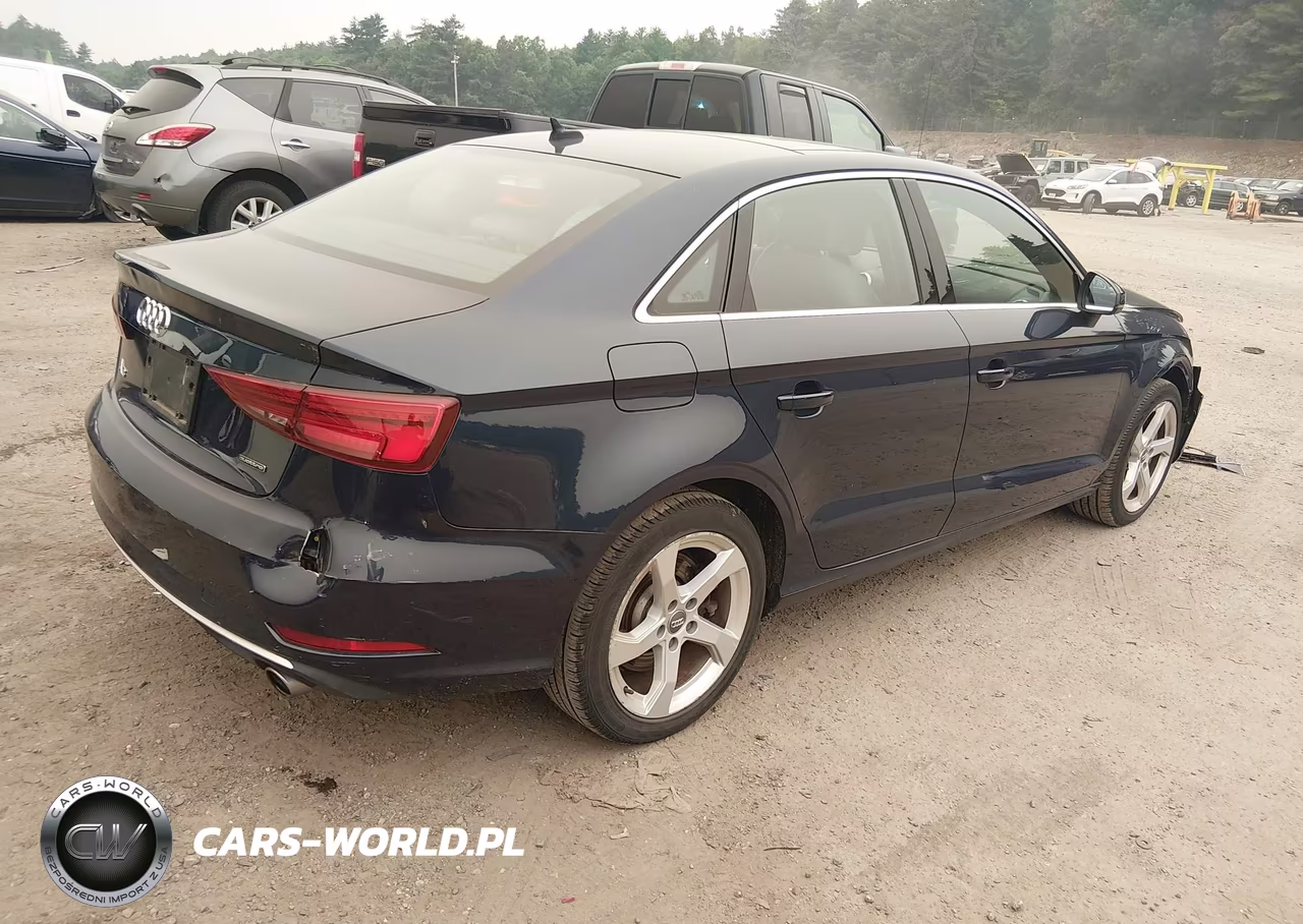 2019 Audi A3 45 Premium VIN:WAUBEGFF2KA117247 - 4