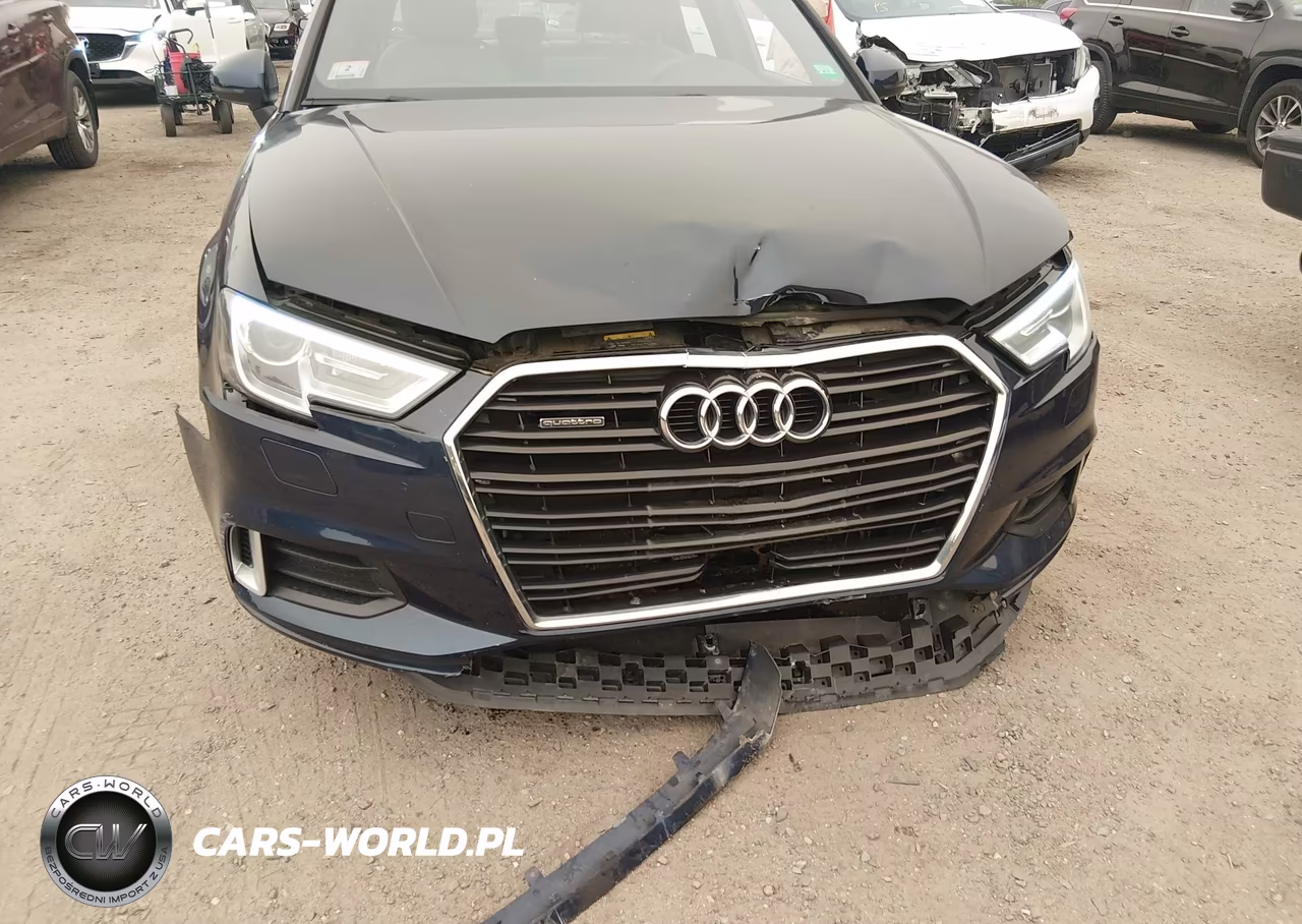 2019 Audi A3 45 Premium VIN:WAUBEGFF2KA117247 - 6