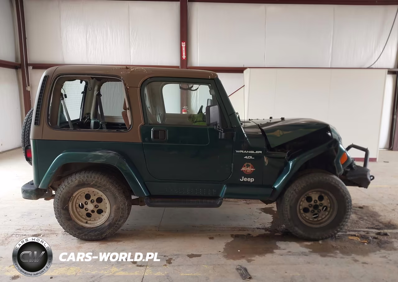 1999 Jeep Wrangler Sahara VIN:1J4FY49S8XP411284 - 13