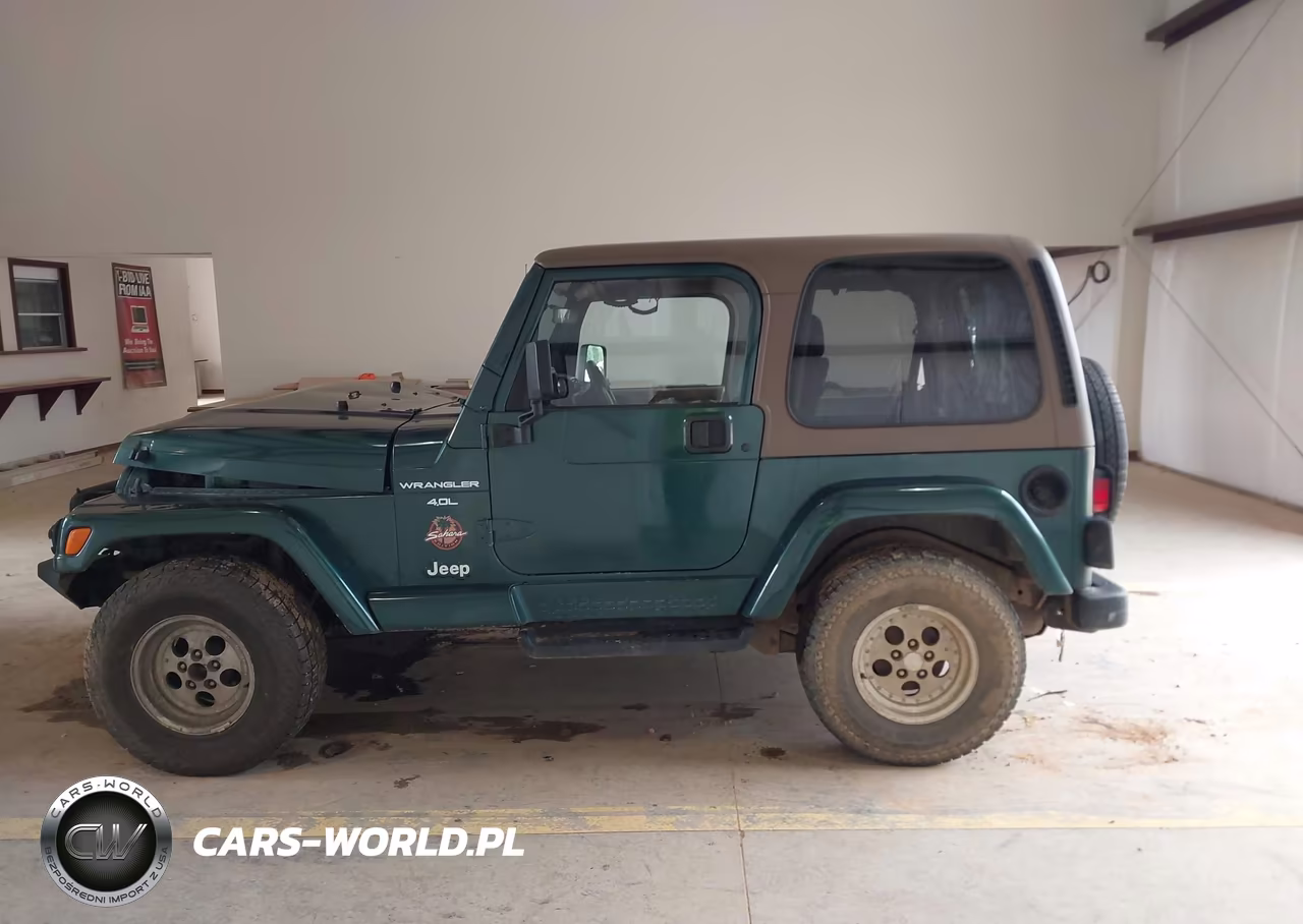 1999 Jeep Wrangler Sahara VIN:1J4FY49S8XP411284 - 14