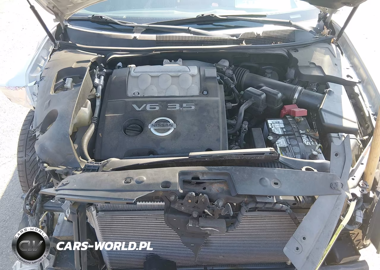 2007 Nissan Maxima 3.5 Sl VIN:1N4BA41E67C812070 - 10