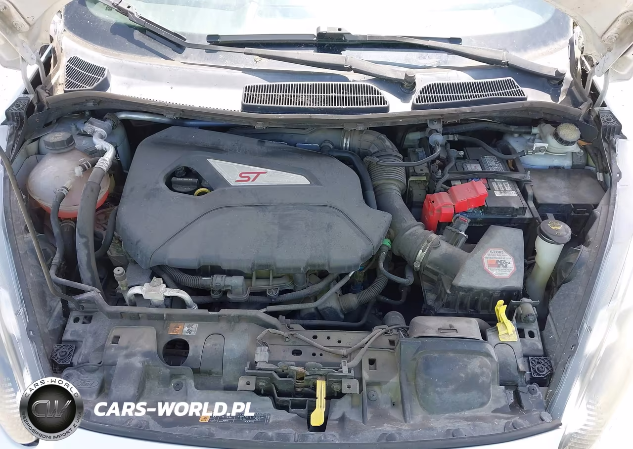 2014 Ford Fiesta St VIN:3FADP4GX6EM163625 - 10