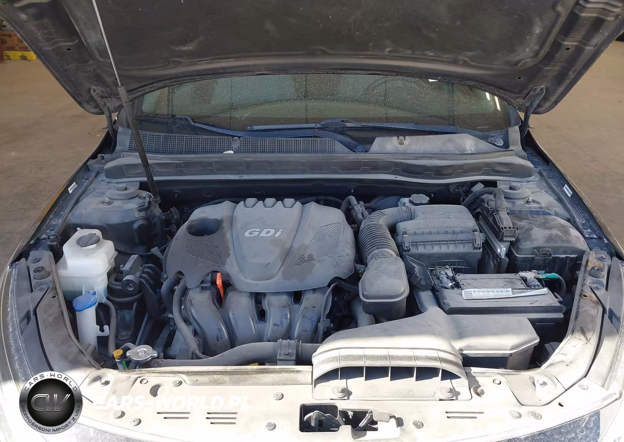 2015 Kia Optima Ex VIN:5XXGN4A71FG354474 - 10