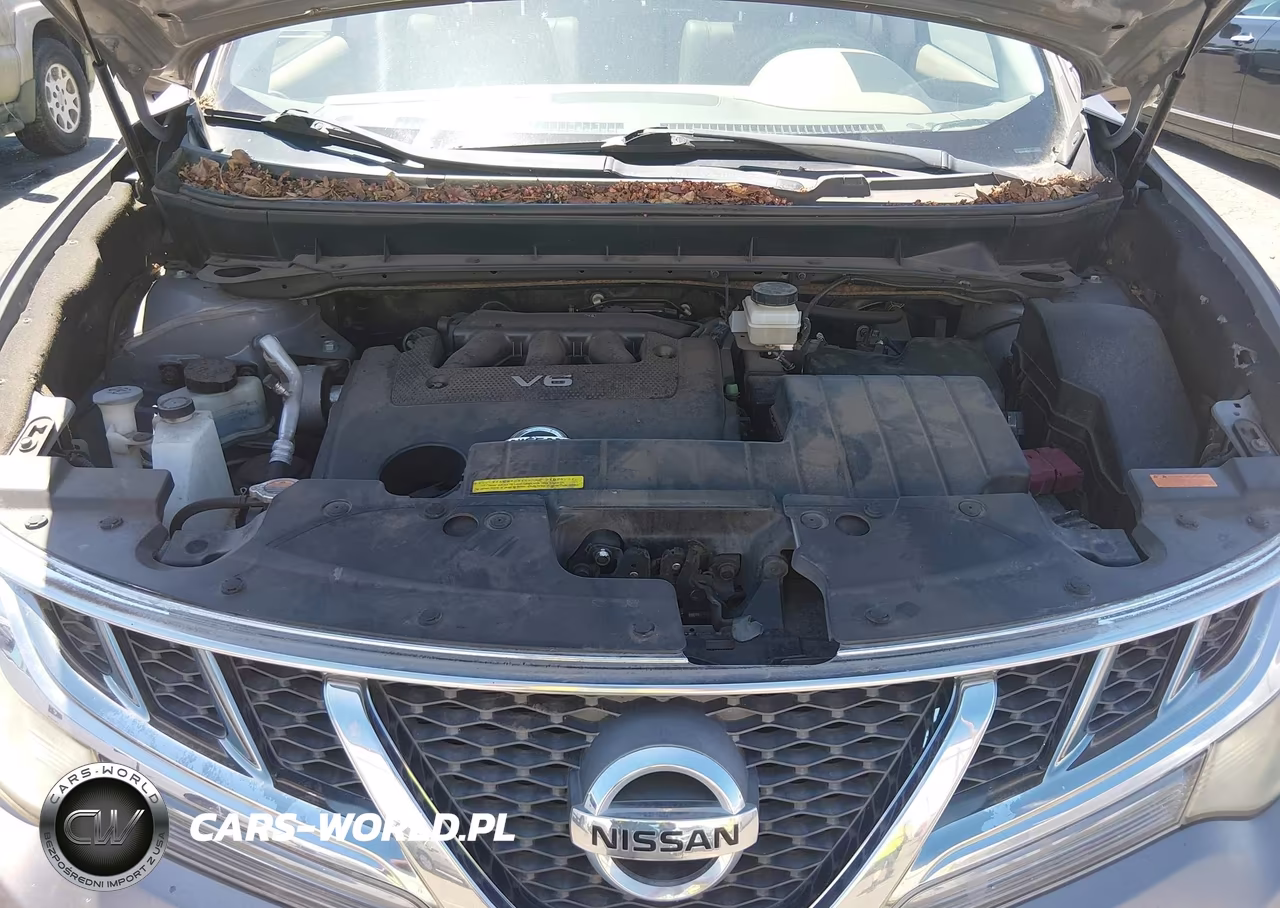 2011 Nissan Murano Le VIN:JN8AZ1MW5BW161172 - 10