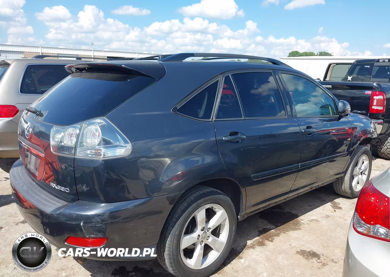 2004 Lexus Rx 330 VIN:JTJGA31U140013356 - 14