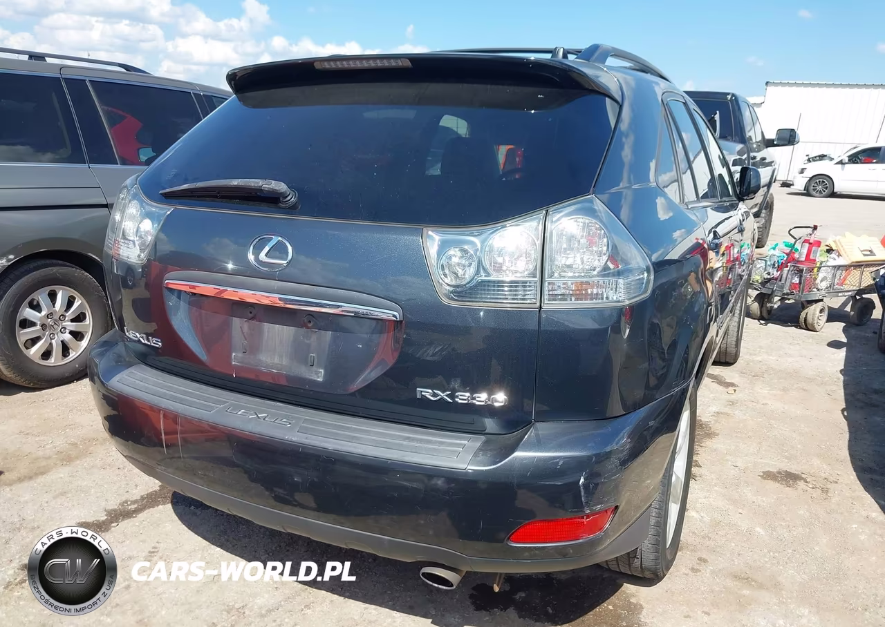 2004 Lexus Rx 330 VIN:JTJGA31U140013356 - 4