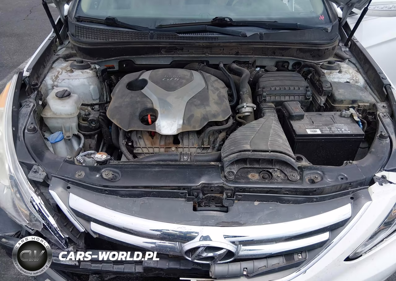 2014 Hyundai Sonata Limited 2.0T VIN:5NPEC4AB6EH941743 - 10