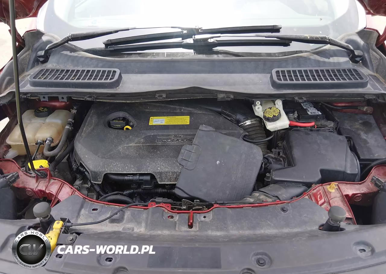 2014 Ford Escape Titanium VIN:1FMCU9JX7EUA84654 - 10