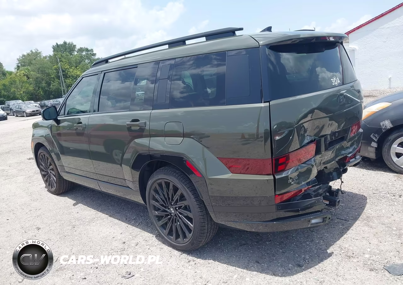 2024 Hyundai Santa Fe Calligraphy VIN:5NMP54GL3RH043946 - 3