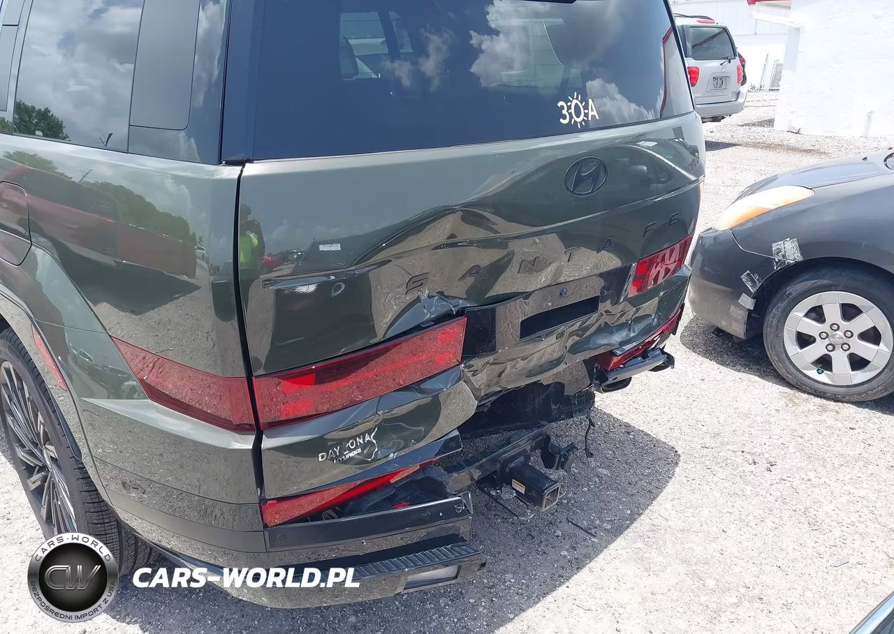 2024 Hyundai Santa Fe Calligraphy VIN:5NMP54GL3RH043946 - 6