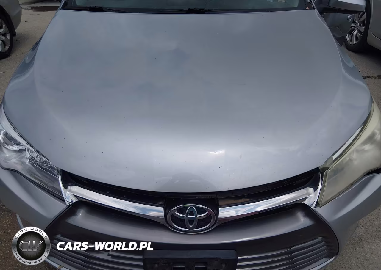 2016 Toyota Camry Xle VIN:4T1BF1FK9GU604280 - 10
