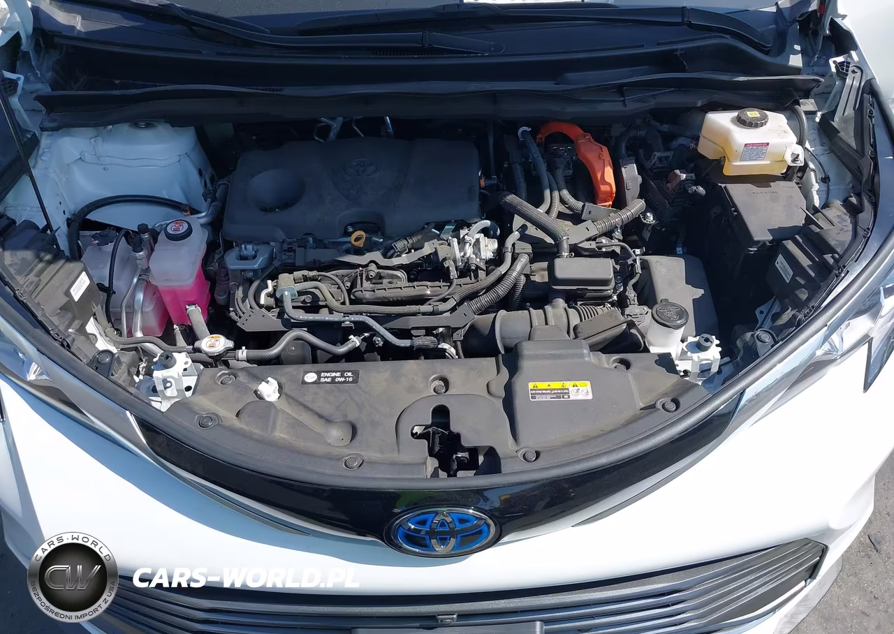 2024 Toyota Sienna Platinum VIN:5TDESKFC9RS148820 - 10