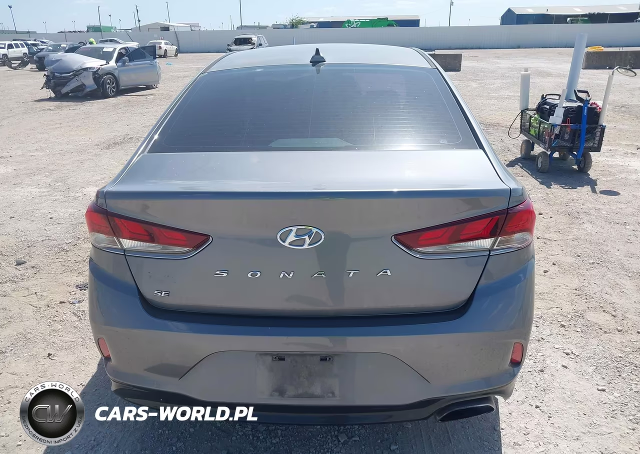 2019 Hyundai Sonata Se VIN:5NPE24AF2KH743940 - 17