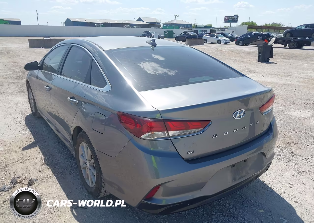 2019 Hyundai Sonata Se VIN:5NPE24AF2KH743940 - 3