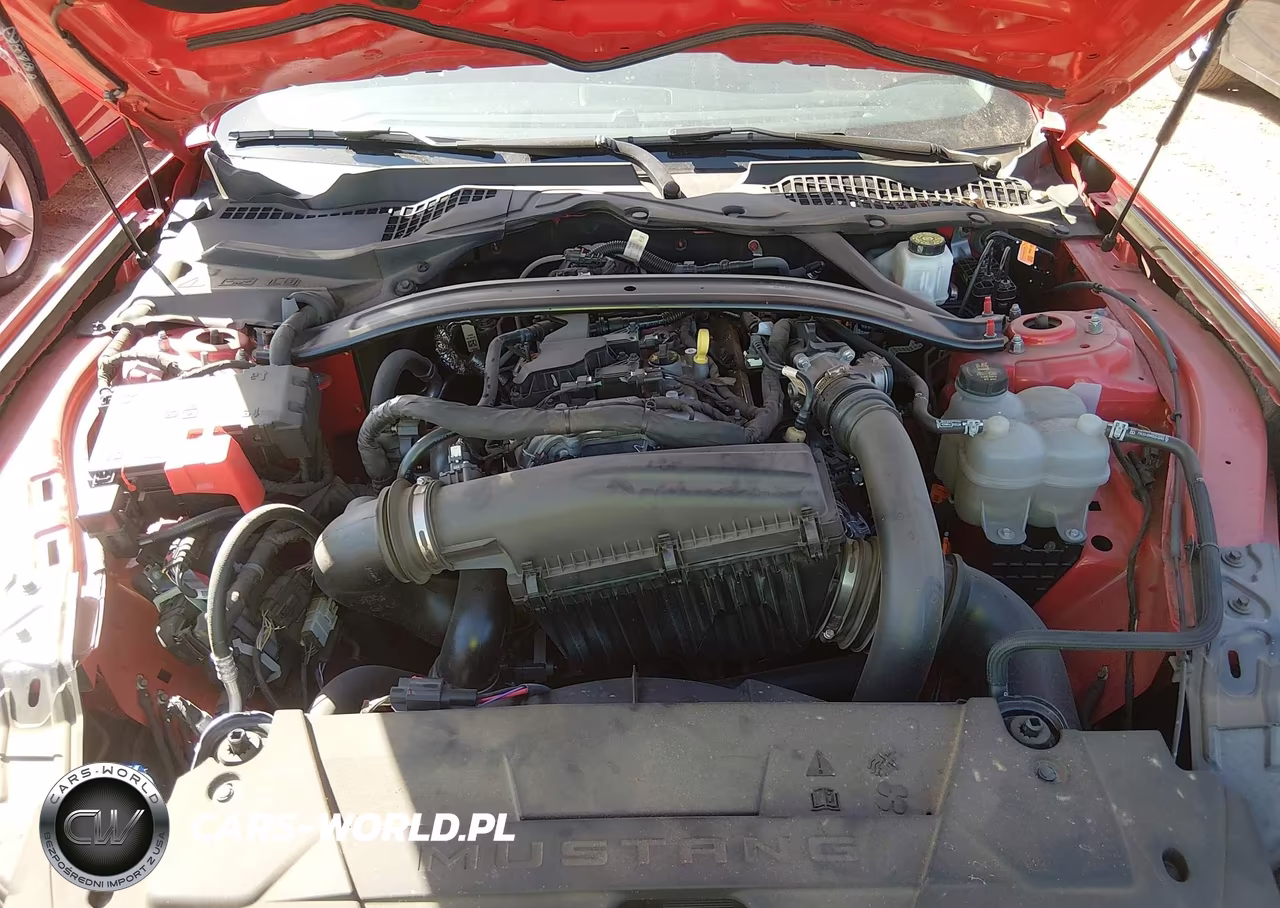 2025 Ford Mustang Ecoboost Premium VIN:1FAGP8UH1S5105652 - 10