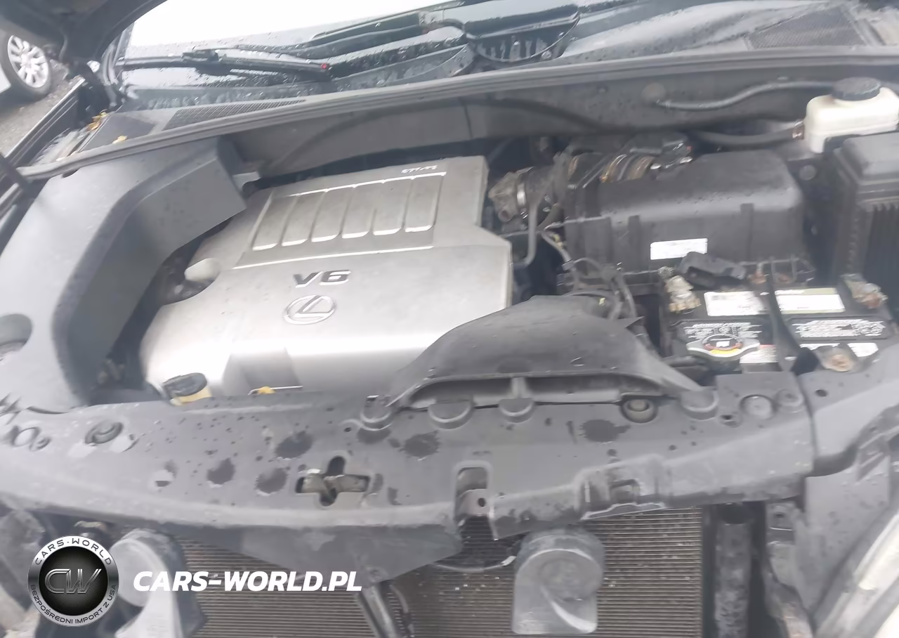 2009 Lexus Rx 350 VIN:2T2HK31U09C121772 - 10