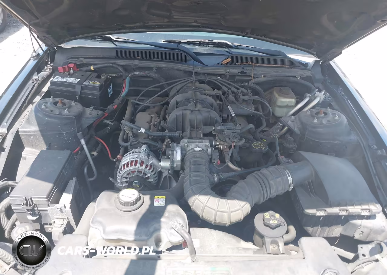 2006 Ford Mustang V6 VIN:1ZVFT80N565159469 - 10