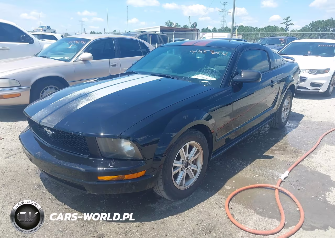 2006 Ford Mustang V6 VIN:1ZVFT80N565159469 - 2