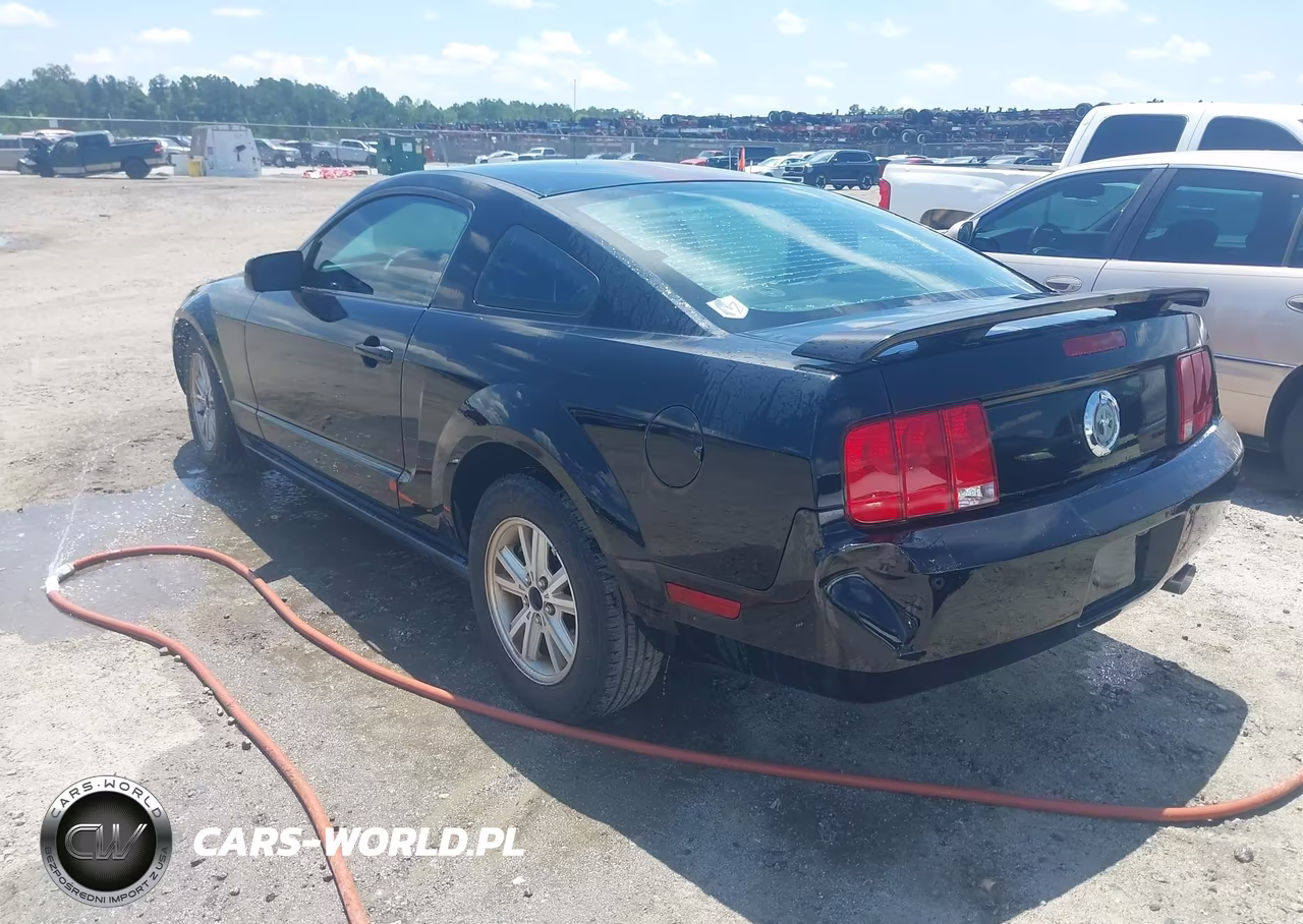 2006 Ford Mustang V6 VIN:1ZVFT80N565159469 - 3
