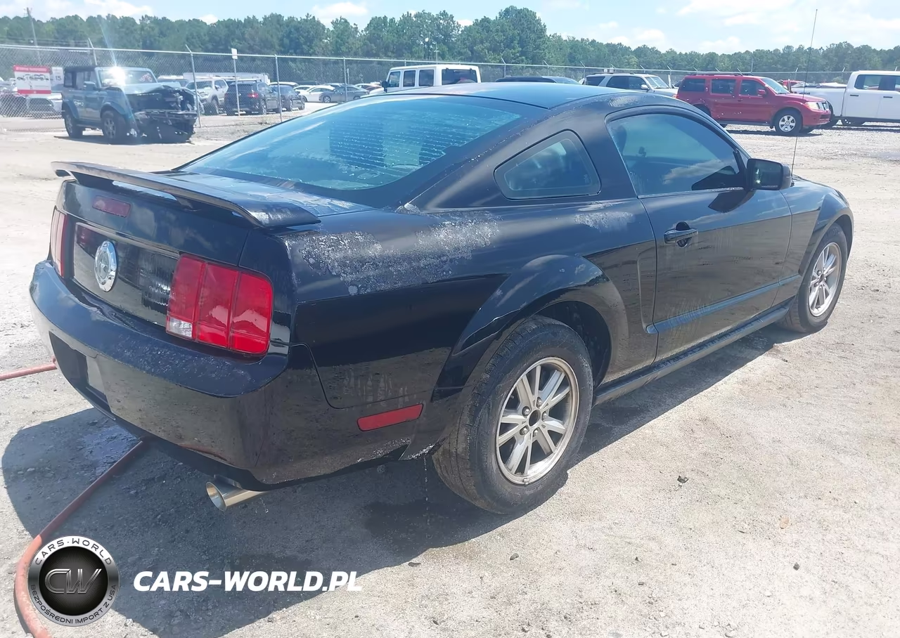 2006 Ford Mustang V6 VIN:1ZVFT80N565159469 - 4