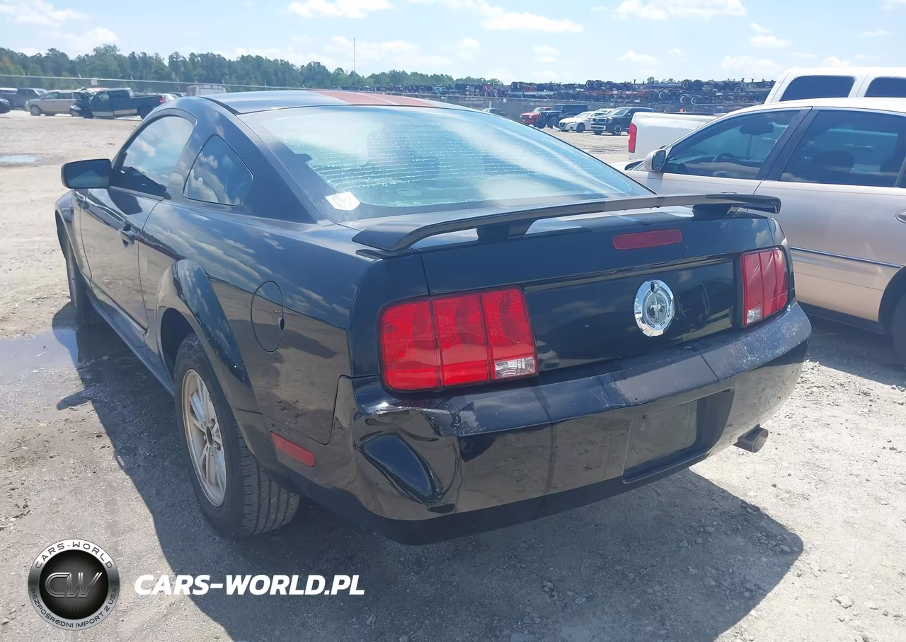 2006 Ford Mustang V6 VIN:1ZVFT80N565159469 - 6
