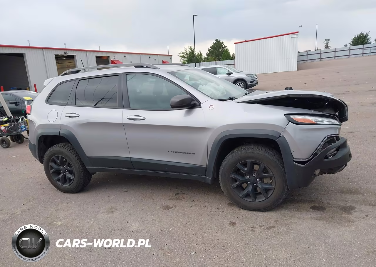 2018 Jeep Cherokee Trailhawk 4X4 VIN:1C4PJMBX7JD521756 - 13