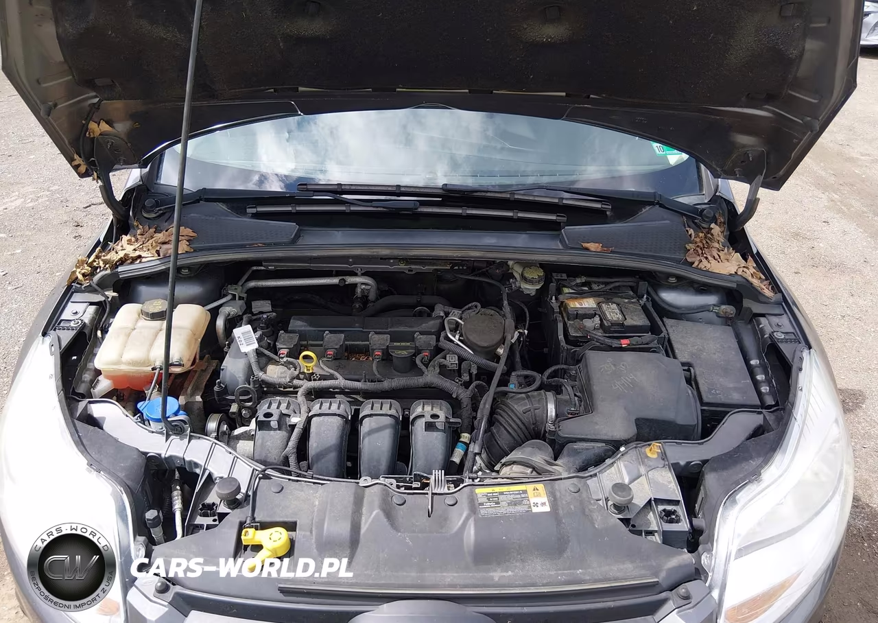 2014 Ford Focus Se VIN:1FADP3F23EL257253 - 10