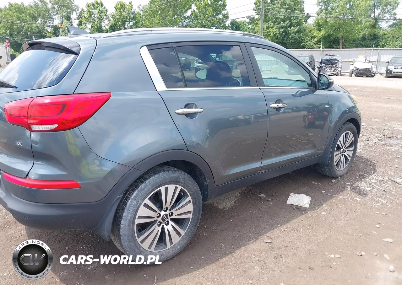 2014 Kia Sportage Ex VIN:KNDPC3AC6E7604814 - 4