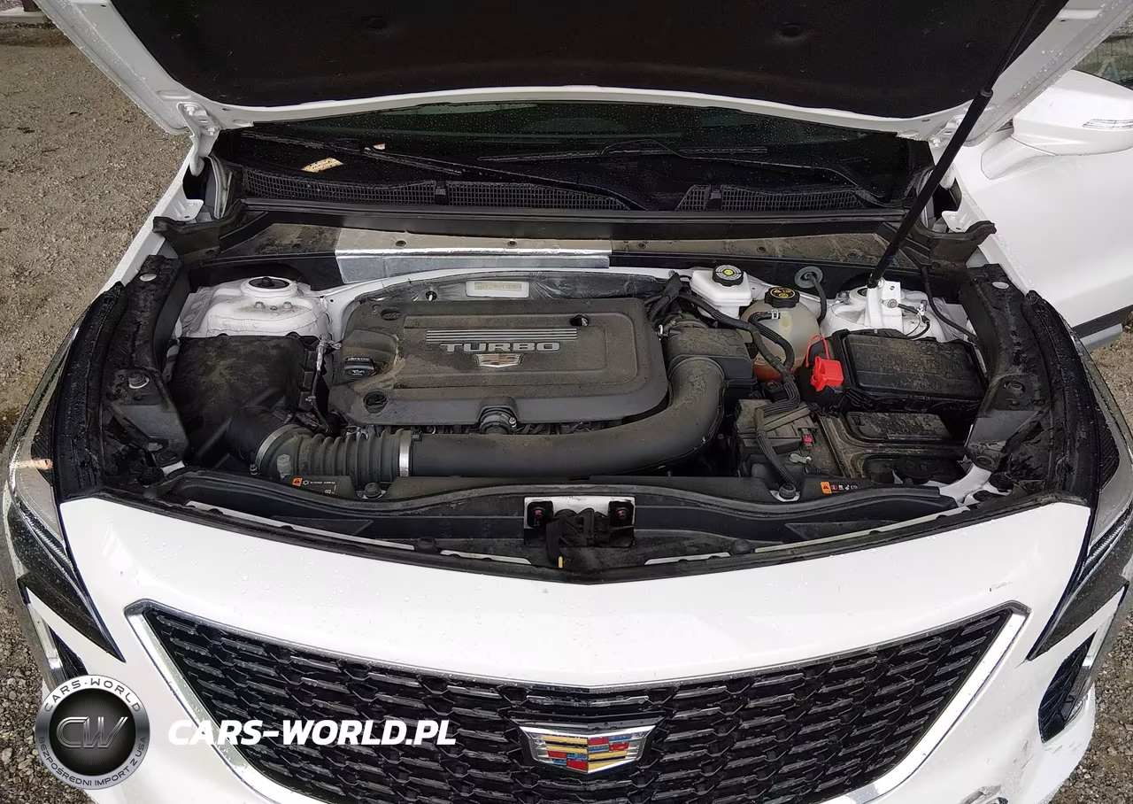 2023 Cadillac Xt4 Fwd Premium Luxury VIN:1GYFZCR41PF107891 - 10