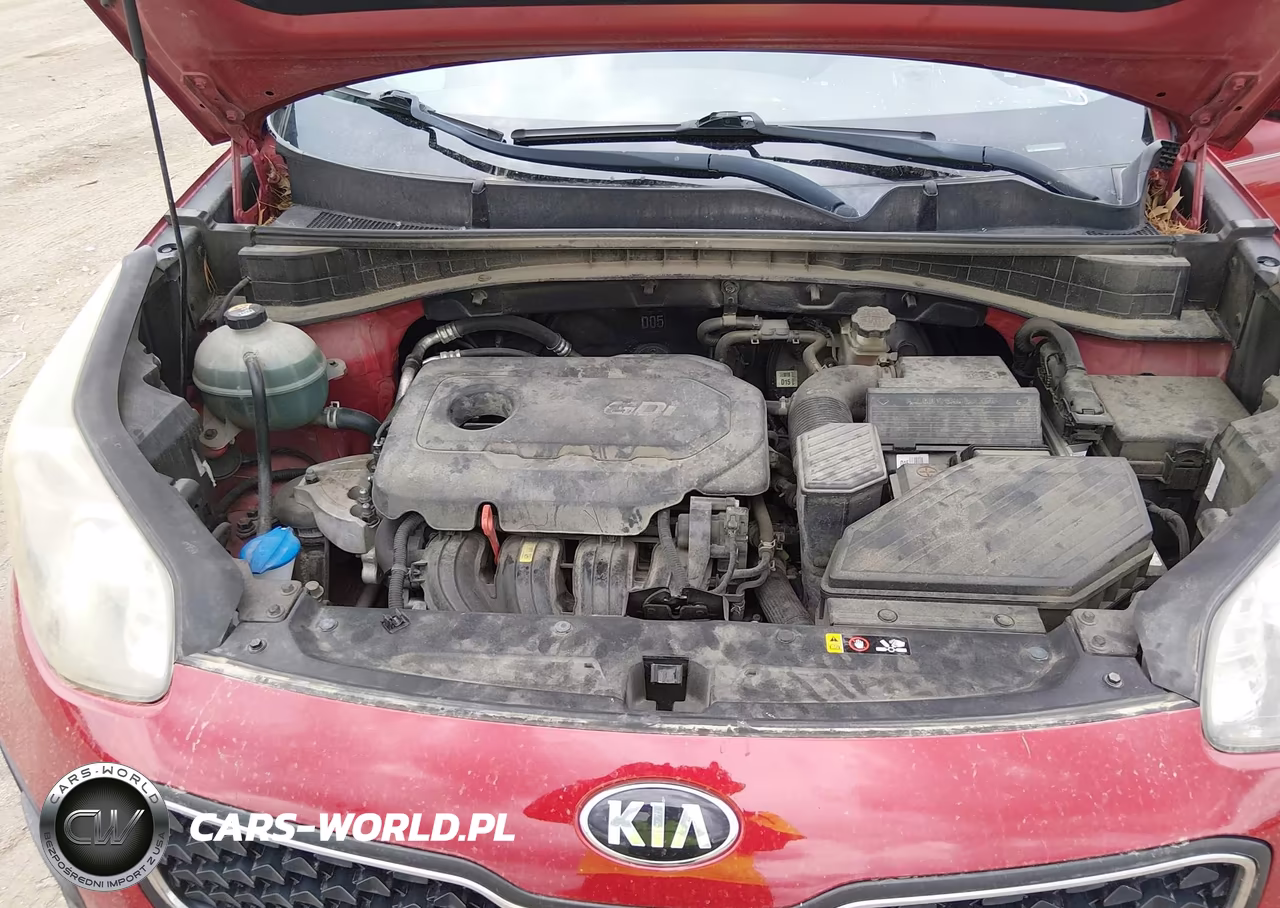 2019 Kia Sportage Lx VIN:KNDPM3AC3K7526680 - 10