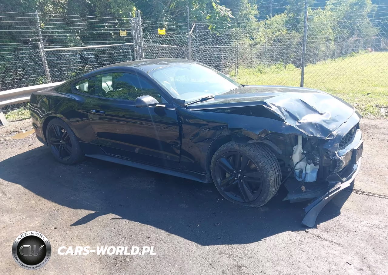 2017 Ford Mustang Ecoboost VIN:1FA6P8TH3H5249550 - 1