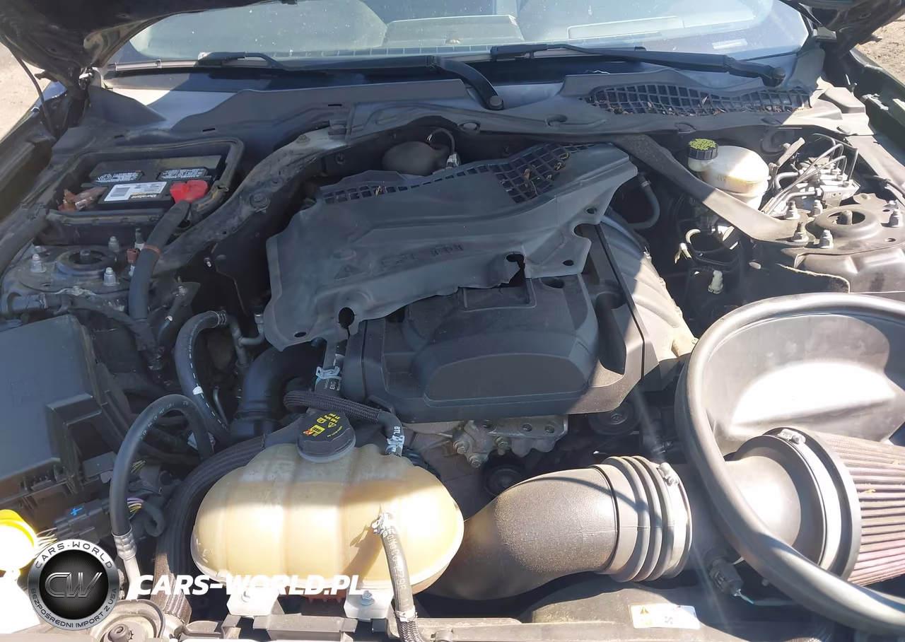 2017 Ford Mustang Ecoboost VIN:1FA6P8TH3H5249550 - 10