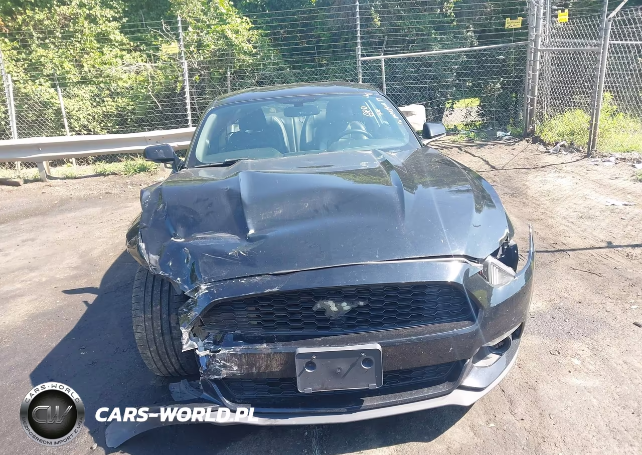 2017 Ford Mustang Ecoboost VIN:1FA6P8TH3H5249550 - 12