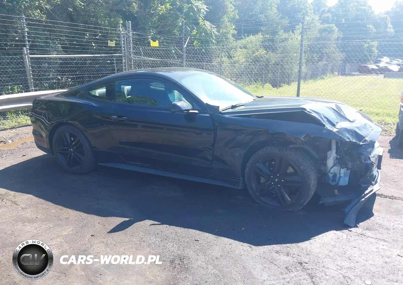 2017 Ford Mustang Ecoboost VIN:1FA6P8TH3H5249550 - 13
