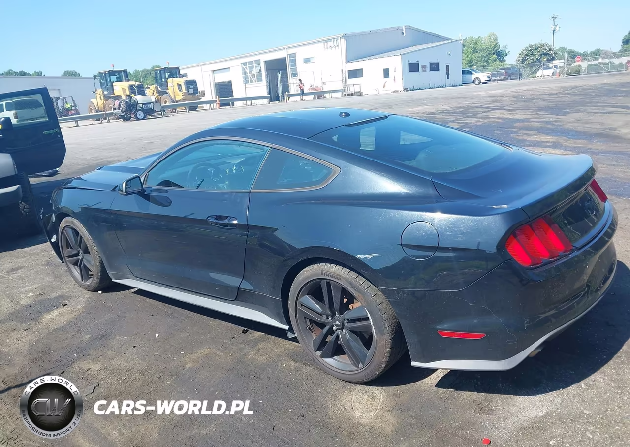 2017 Ford Mustang Ecoboost VIN:1FA6P8TH3H5249550 - 14