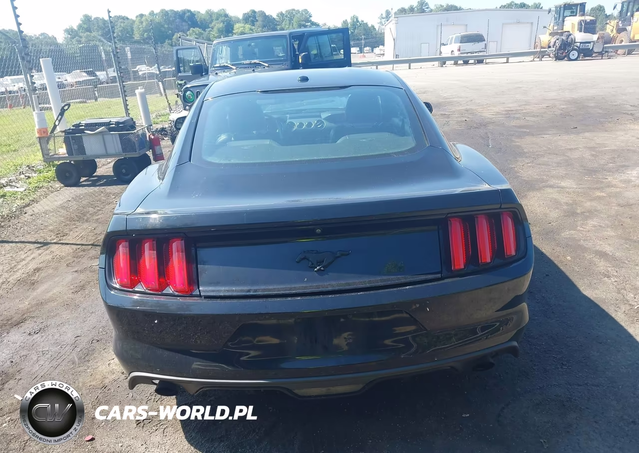 2017 Ford Mustang Ecoboost VIN:1FA6P8TH3H5249550 - 16