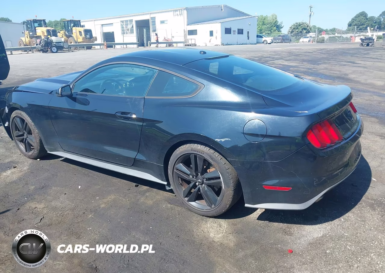 2017 Ford Mustang Ecoboost VIN:1FA6P8TH3H5249550 - 3
