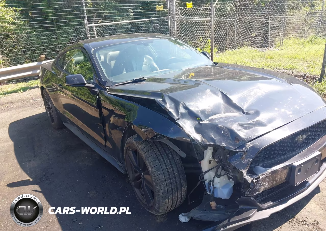 2017 Ford Mustang Ecoboost VIN:1FA6P8TH3H5249550 - 6