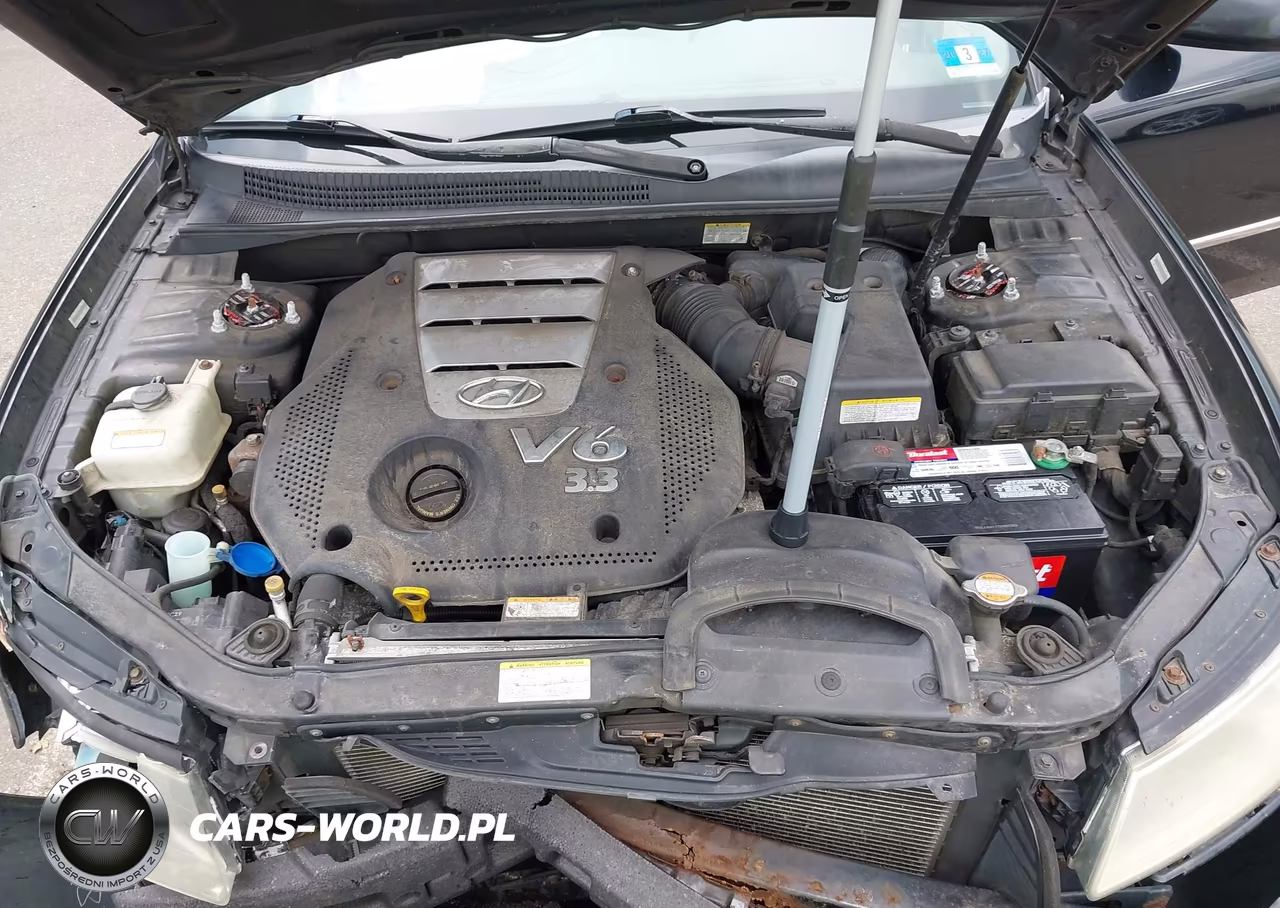 2008 Hyundai Sonata Limited V6-Se V6 VIN:5NPEU46F38H309148 - 10