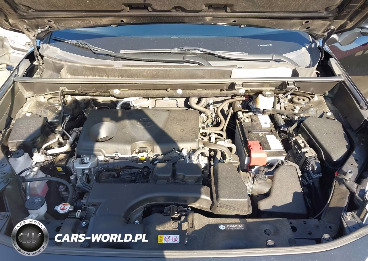2024 Toyota Rav4 Xle Premium VIN:JTMC1RFV2RJ027564 - 10