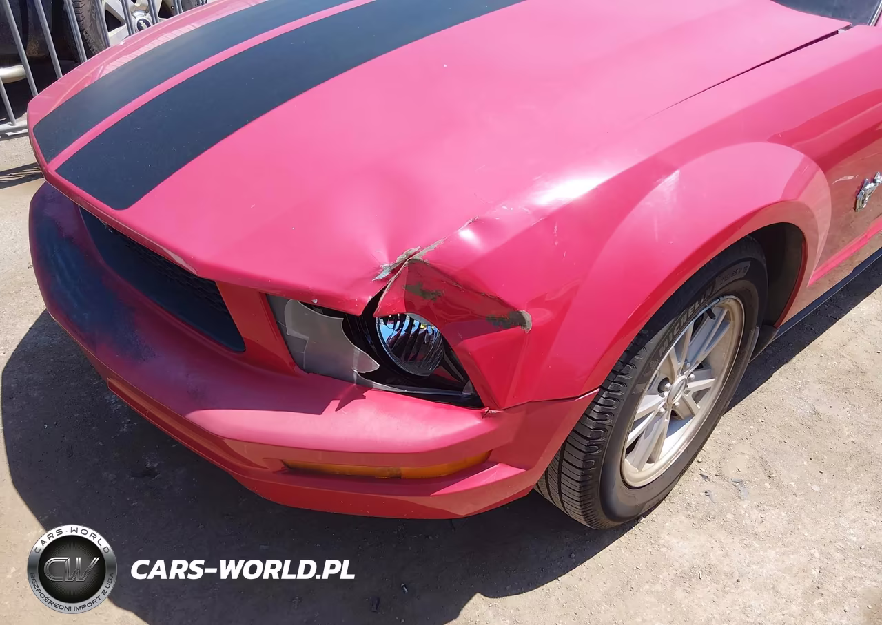 2009 Ford Mustang V6-V6 Premium VIN:1ZVHT80N095126263 - 6