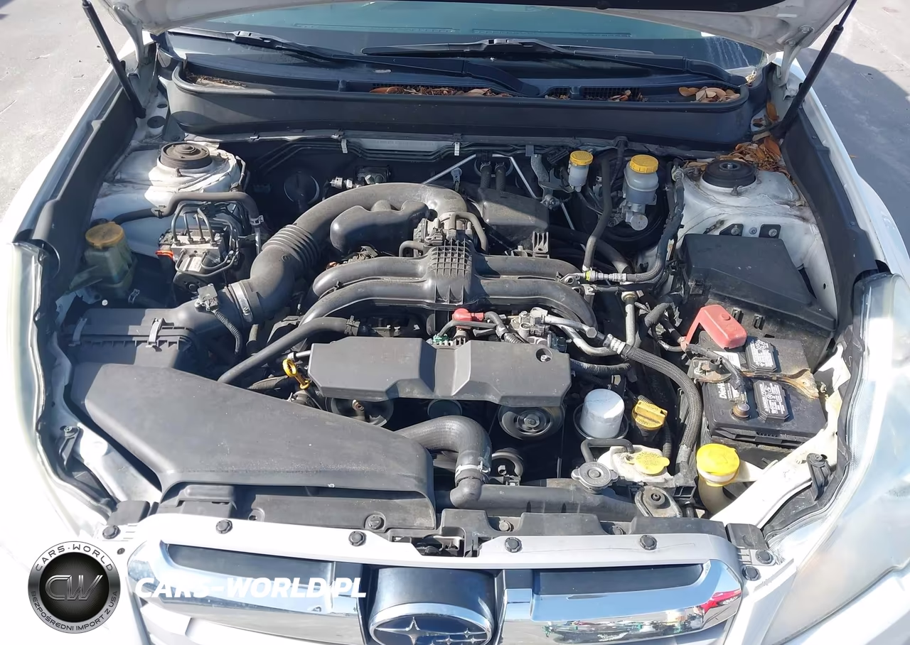 2014 Subaru Outback 2.5I VIN:4S4BRBAC5E1223487 - 10