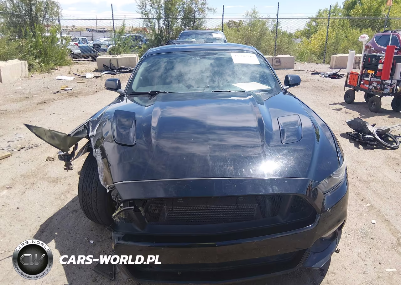 2016 Ford Mustang Ecoboost VIN:1FA6P8TH4G5257509 - 13