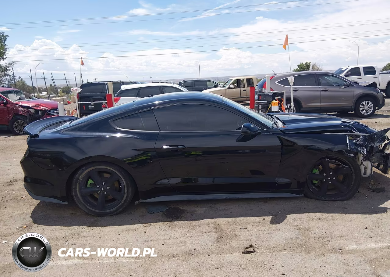 2016 Ford Mustang Ecoboost VIN:1FA6P8TH4G5257509 - 14